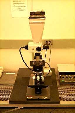 Olympus BH Microscope