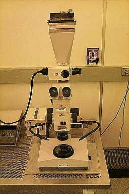 Olympus Widefield Zoom Microscope